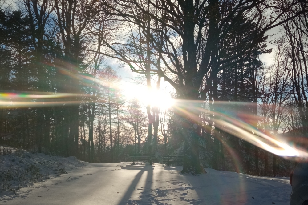 Ouvertures d'hiver ! 2-3 avril